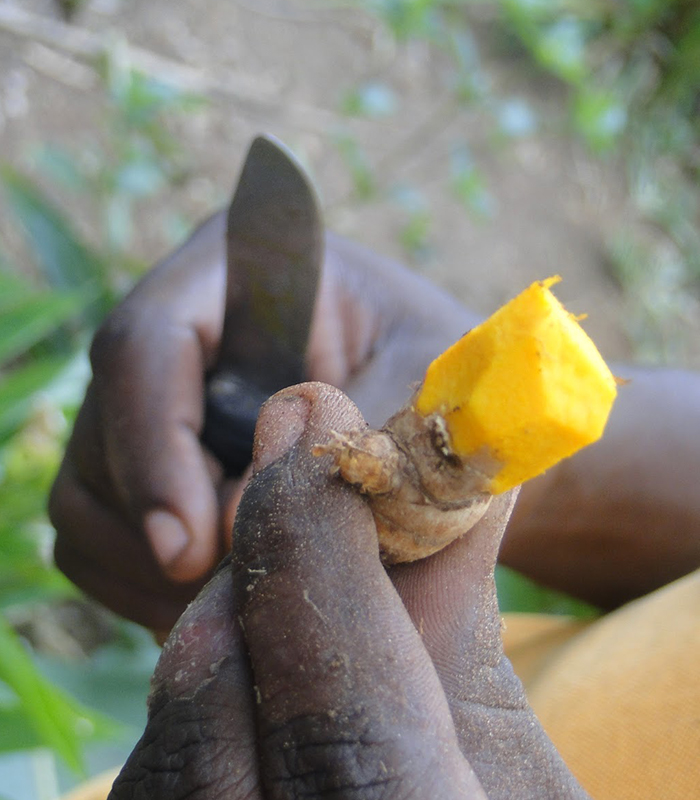 ZANZIBAR SPICE TOUR