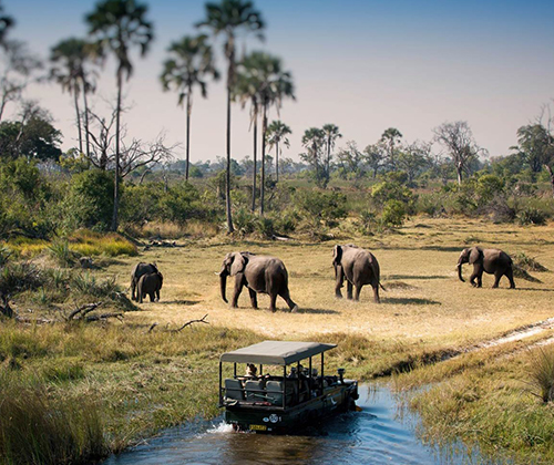 3 Days Adventure Wildlife Safaris