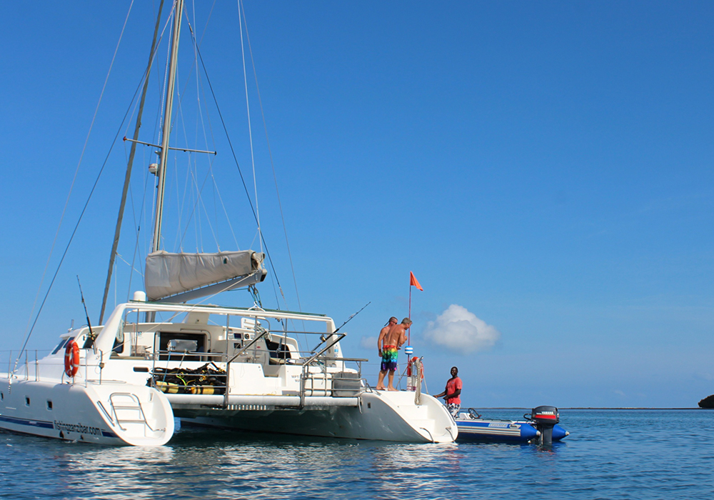 catamaran trips in zanzibar